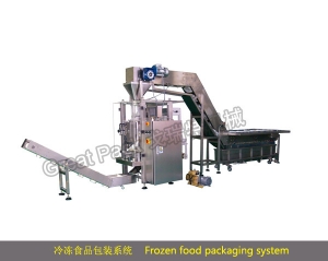 廣州戈瑞特冷凍食品包裝系統